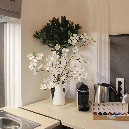 Apartment Cozy And Practical Cocoon At The Heart Of Paris